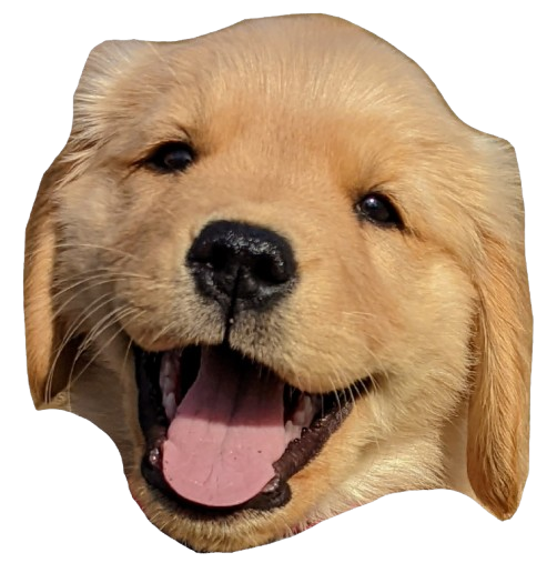 Pancake Logo